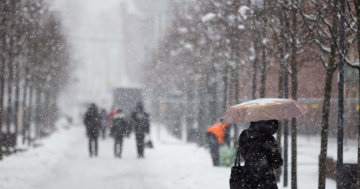 Синоптики рассказали, когда в Калининградскую область придёт потепление