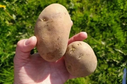 ��� ����������� ��������� � �������: ������� �������� ��������� �������