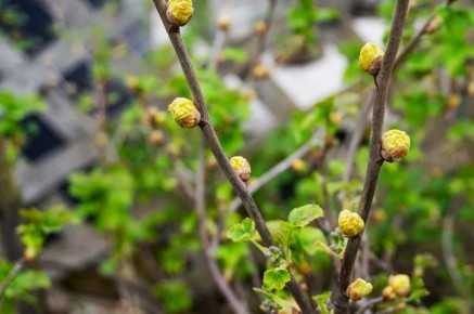 ��� ���������� � �������� ��������� ����� �� ���������