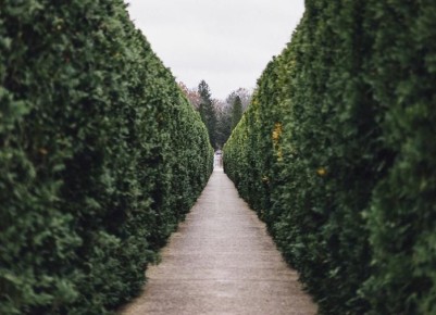 ������������ ����� �������� ��� ���������� ����