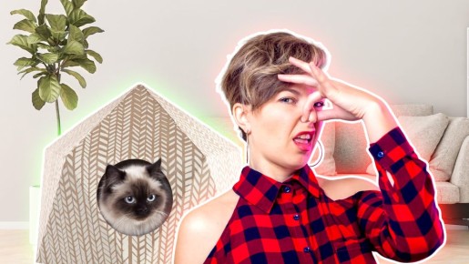 ������ ������� ����: ���������� ��� �������, � ������� ����� �� ����� ��� ������������