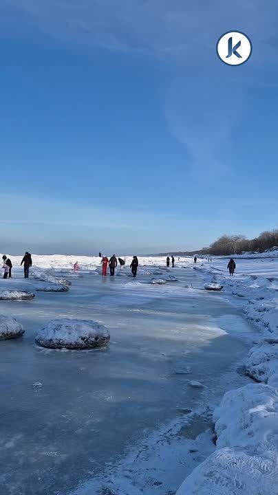 ��������������� ������� ������ �������� ������� ����������� ����������� �� ���� �������������