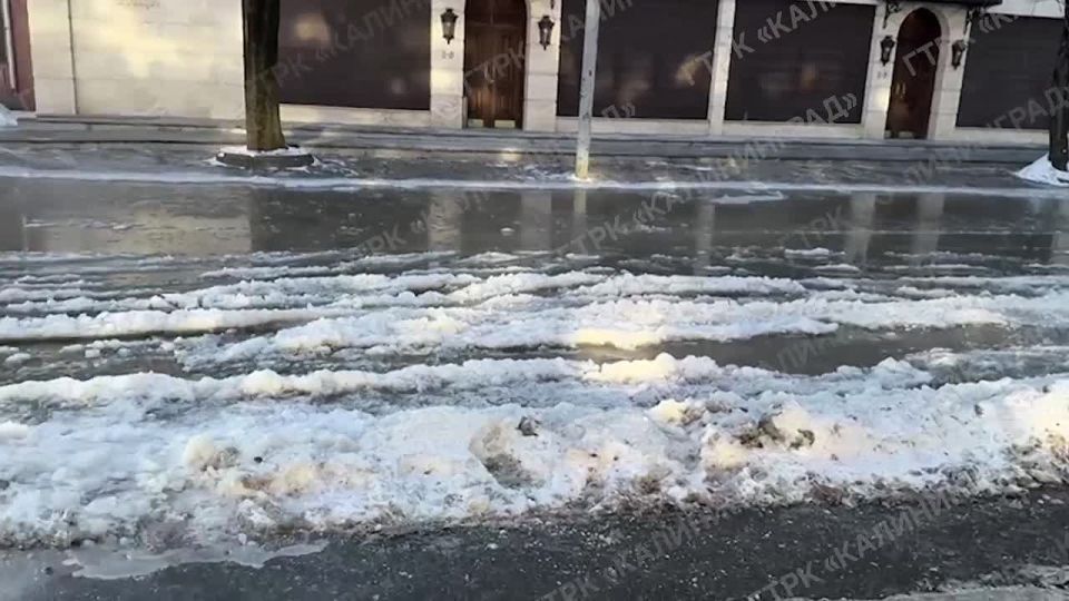 � ������������ �� ���������� ���� ������������ � ���������� ���� ������� ����� ��������� ���������� �������� �����