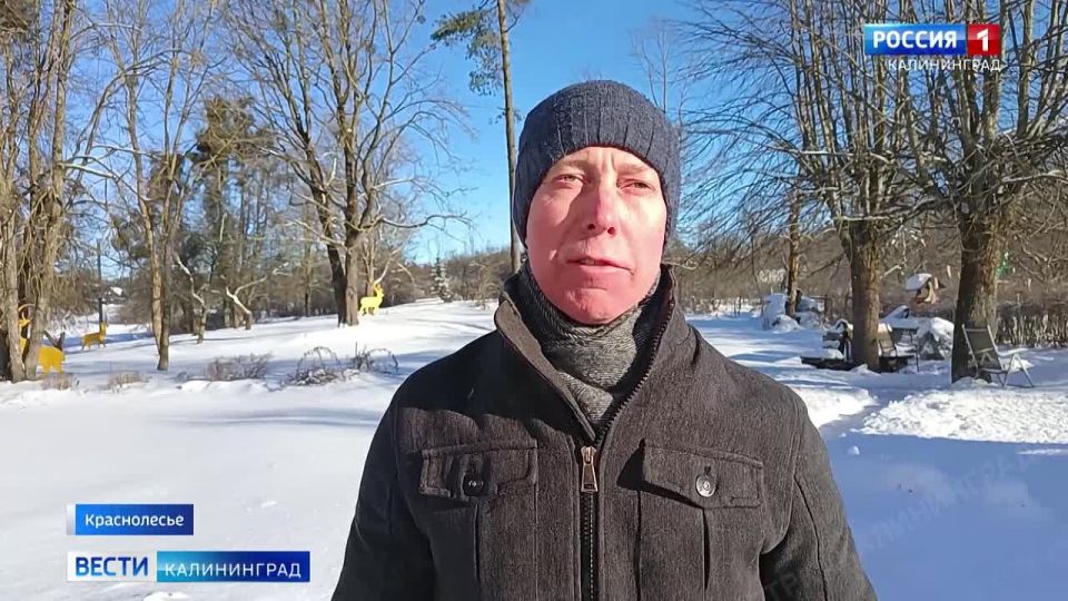 ����� ��������. ������������� ������� ����� ���� ������������ � �����������