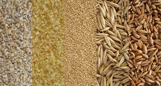 5 ������� ����, ������� ����� ��������� ��� ��������� �������