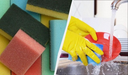 ������ ����� ���� ����� ��� ������: �������������� ������� ��� ������ �������