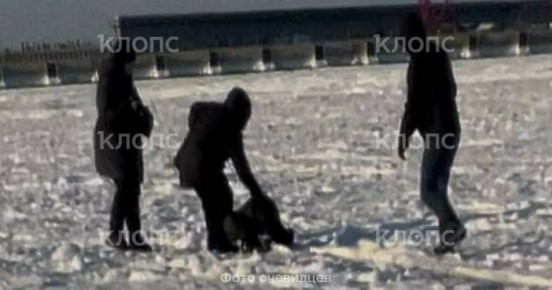 �˸� ������ �� ����: � ���������� ������ ���������� � �������