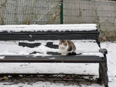 ����� ������� ����������, ��� � ������������ ��������� � ������ �����