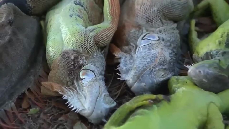 ���� �� � ���� �������� � ��� ����� � ��� ����� � ��������, �� ������ ����� ����� ������ ����� ��