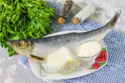 ������ �������� ���� �� ������: ��������� ��������� � ��������� � �������