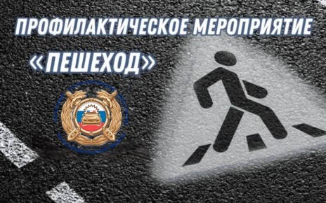 Региональная Госавтоинспекция информирует участников дорожного движения о проведении на территории области с 2 по 8 февраля 2026 года 1 этапа специального профилактического мероприятие «Пешеход»