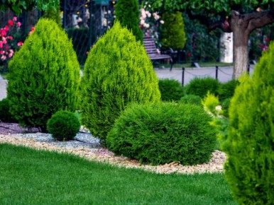 ����� �������� ����� ����� �������� ������ � ����� ����?