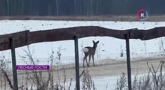 ���� � ������: � ��������������� ������� �������� ���������� �������� � �����