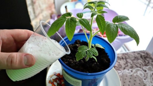 ��� ��������� �������� �������: ������ � ������ ��� ��������� �����