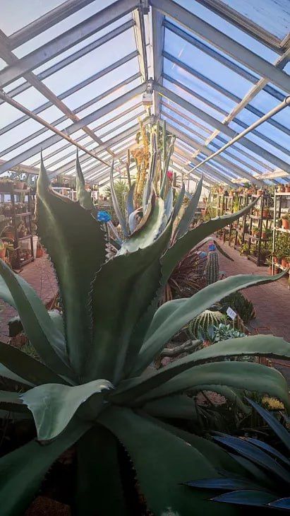 � ������������ ���� ��� ����� ����� � ������������ �� ������� ��������� ���