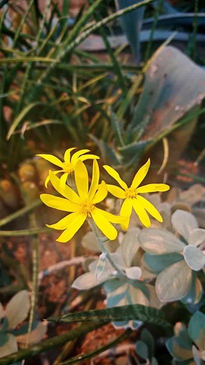 � ������������ ���� ��� ����� ����� � ������������ �� ������� ��������� ���