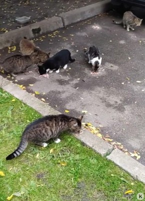 ������������� ���� �� �������� ������ ��������� �����, ������� ��������� � �������