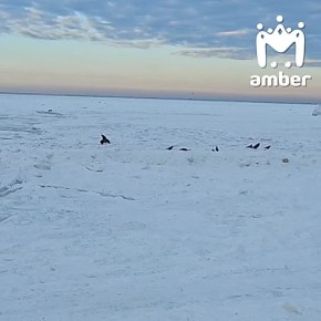 ����� ������� �� ���������� ���� � ����������, ����� ����� ��� ��� ��� �������