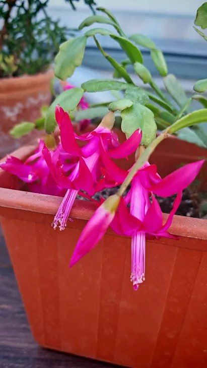 � ������������ ���� ��� ����� ����� � ������������ �� ������� ��������� ���