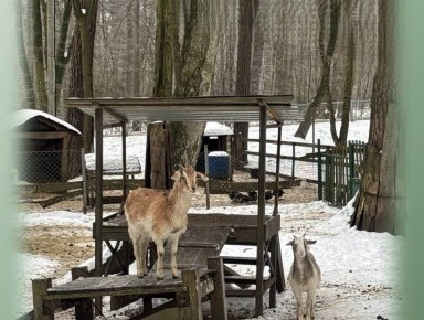 � ������� �������� � ������������ ����� �������������� ���������