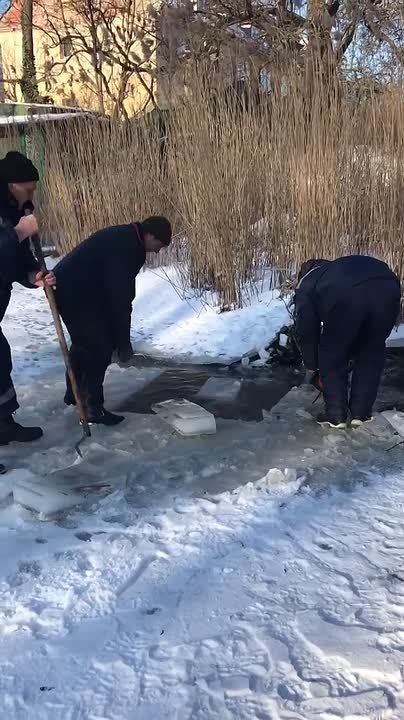 � ��������� ������� ������� �� ���� ������, ���� �������� ����������� ����