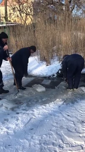 � ��������� ������� ������� �� ���� ������, ���� �������� ����������� ����