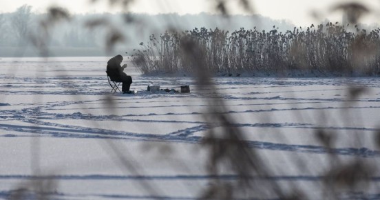 ���� ��������� �� -12: ������ � ��������������� ������� �� �����