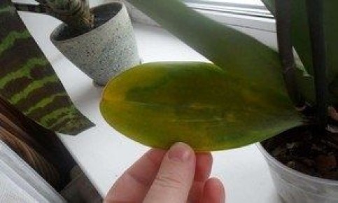 ������ ����� ������ � �������: �������� ������� � ������ �� ��������������