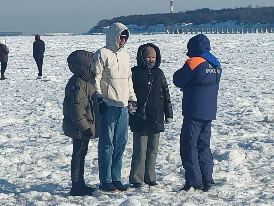 ������ ��������������� ������� ���������� �������� �� �� �������, �������� �� ������� � �������������� ����������