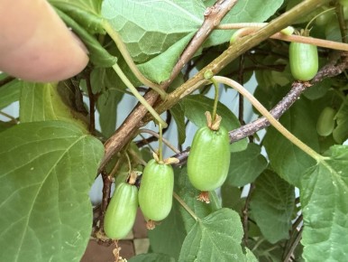 ��������� ��� ����� ���������: ��� ���������� ��������� � ����������� �������