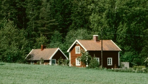 ��� �������� ���� �����: ����������� ������ � ��� ��� ������ ��� ����� ������