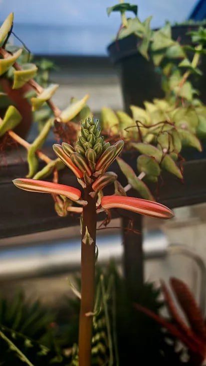 � ������������ ���� ��� ����� ����� � ������������ �� ������� ��������� ���