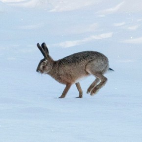 ����-����� � ������ ����. ��� ������ � ��������� ������ ����� ������