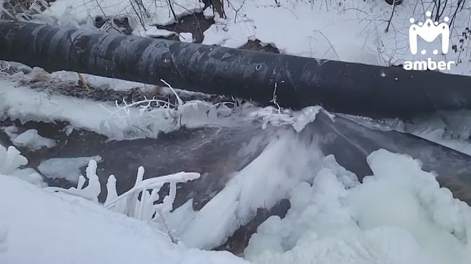 ����� �������� �� �������� �������� �� ������������