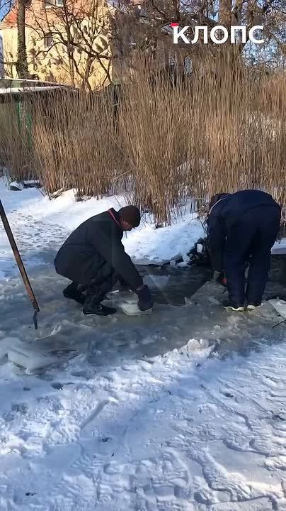 � ��������� ������� ������ ������� ������� �� ���� ������, ����� ������ ����������� ����