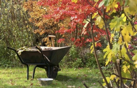 ������� ������������ ���������: �������, ��� ���������� ��� �� �����