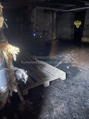 � ����������� �������� �� ���������� � ���� �������� � ���������� ������� ������ ���� � ������� �������-1 ���������������� ������