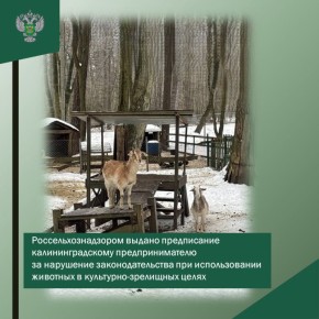 � ������������ ��������� ������� ��������������� ���������������