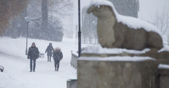 ������� ������ � ������������ � ������� �� 5 �������