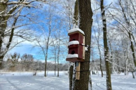 �������������� ���������� ������� ������� � ������ �������� ��������