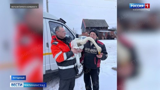 � ������� ��������� ��������� ������ ������