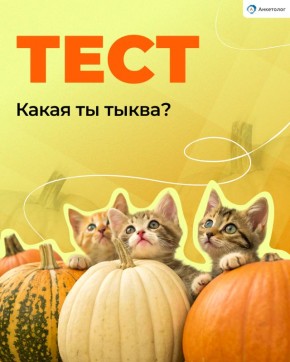 ����� �� ��� ����� ���� ������? �������� �������� ����