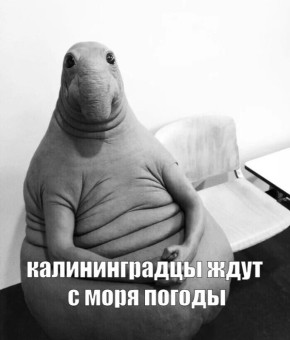 ��� ������� ��������� � ������ �� ���������� � ��������������� �������?