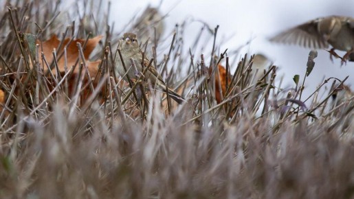 ��������������� ������� ������ ������� �� ������������� �������� ��������