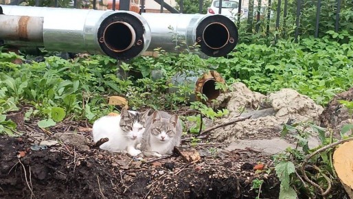 ������ �������� 63 ��� ������ �� ���������� ���� � ������������