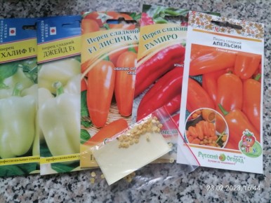 ������ ������� ����� �� ��� ���������� ������� � ���� ������