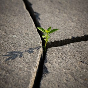 ����� ��� ���������: ��� ������������ ���� ���������� ������������ ���������