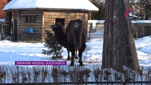 ���������� ������ ��������� �� ��������� �� ������ �����, �� � ��������