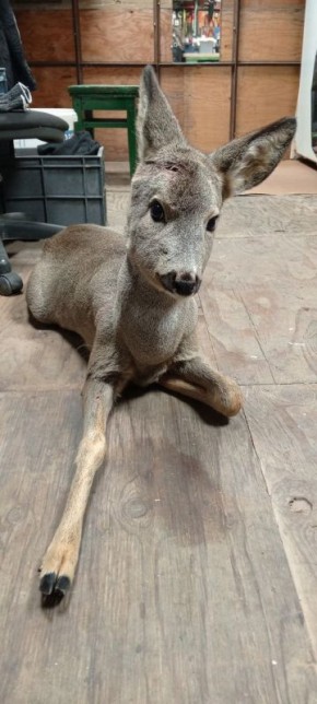 � �������� ������� ������� ������