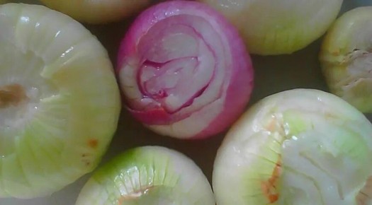 ��������������� ����� �� ����: ����� �� �������